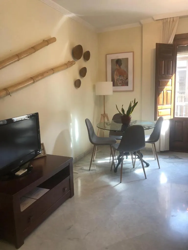 Centro Ciudad Y Parking Apartment Granada Spain